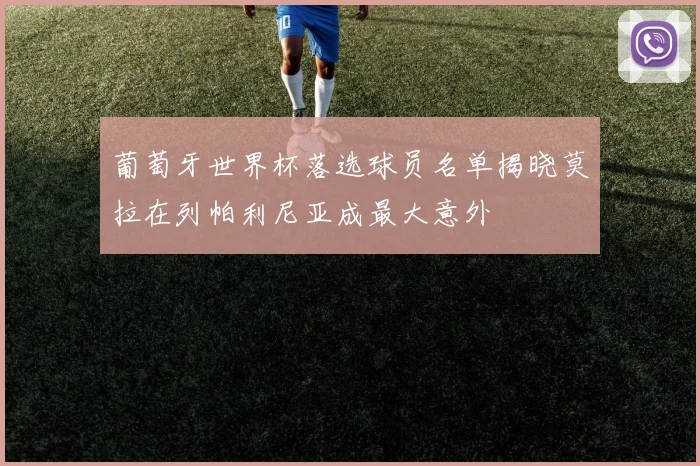 葡萄牙世界杯落选球员名单揭晓莫拉在列帕利尼亚成最大意外