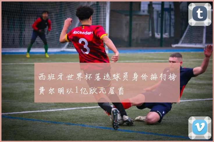 西班牙世界杯落选球员身价排行榜费尔明以1亿欧元居首